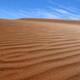 Quarante jours dans le désert...